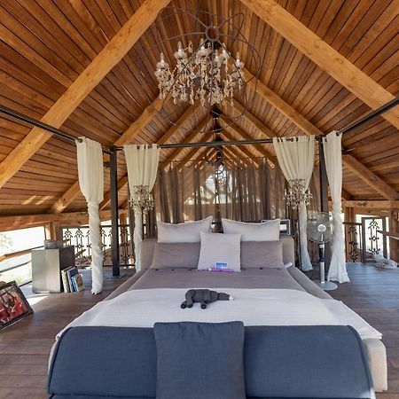 فندق فرانستشوكفي  Inspiring Farm Sanctuary And Famous Painting Pig المظهر الخارجي الصورة