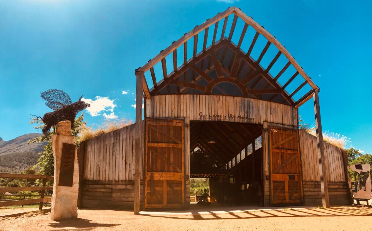 فندق فرانستشوكفي  Inspiring Farm Sanctuary And Famous Painting Pig المظهر الخارجي الصورة