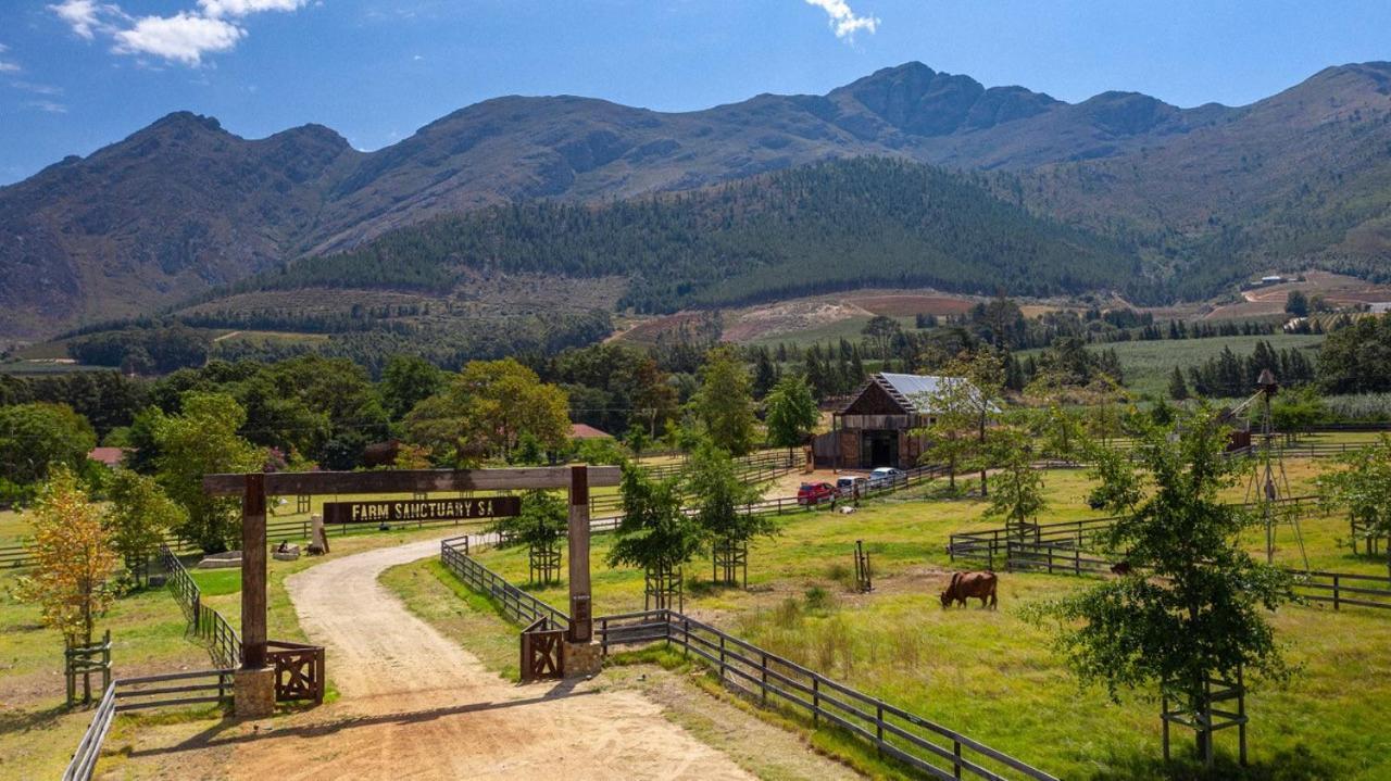 فندق فرانستشوكفي  Inspiring Farm Sanctuary And Famous Painting Pig المظهر الخارجي الصورة