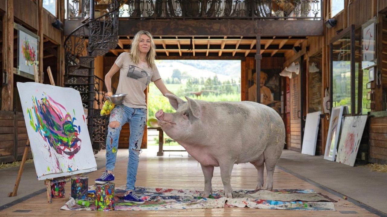 فندق فرانستشوكفي  Inspiring Farm Sanctuary And Famous Painting Pig المظهر الخارجي الصورة