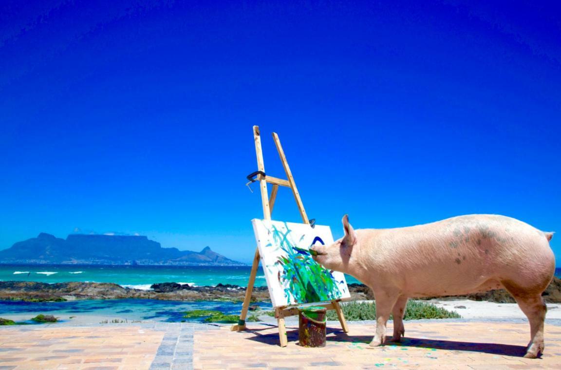 فندق فرانستشوكفي  Inspiring Farm Sanctuary And Famous Painting Pig المظهر الخارجي الصورة